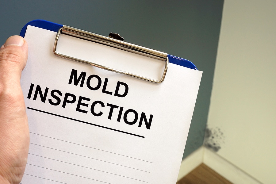 Understanding the Results of Mold Testing